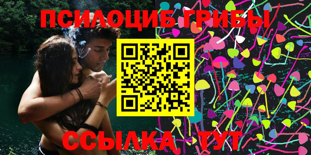 Псилоцибиновые грибы GOLDEN TEACHER Александров