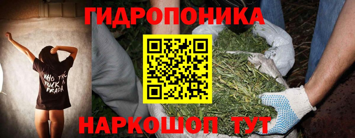 Каннабис LSD WEED  Марихуана ГИДРОПОН  Александров  Вход с VPN 